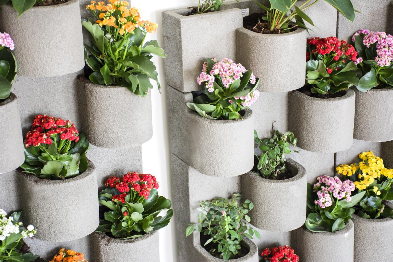 Radisson Blu Resort, Al Khobar ฮาล์ฟมูนเบย์ ภายนอก รูปภาพ Vertical garden